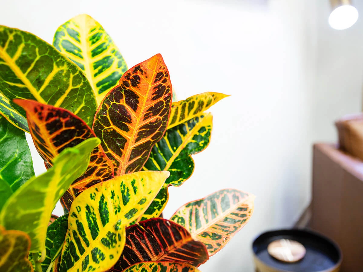 Welcome to Resilient Psychotherapy Welcome to Resilient Psychotherapy