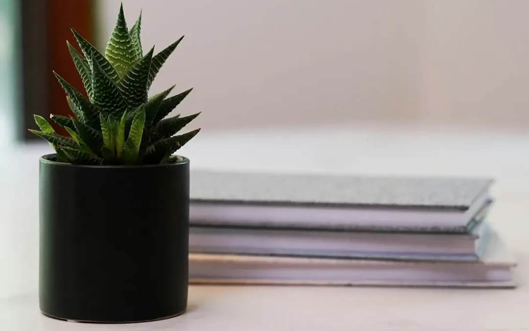 Does ADHD Medication Work?