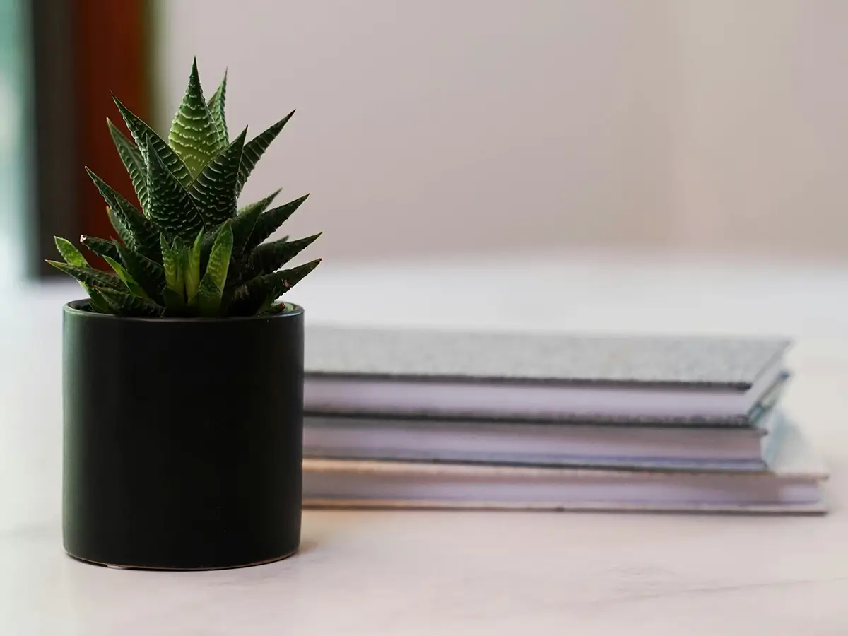 Does ADD Medication Work for Adult ADD and ADHD